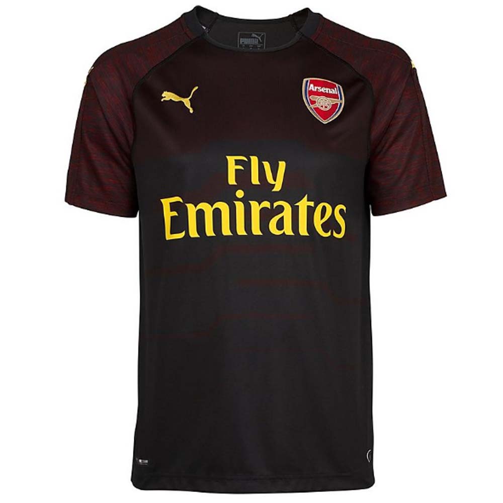 arsenal home goalkeeper kit