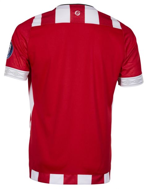 PSV Eindhoven 2018-2019 Home Shirt (Kids)