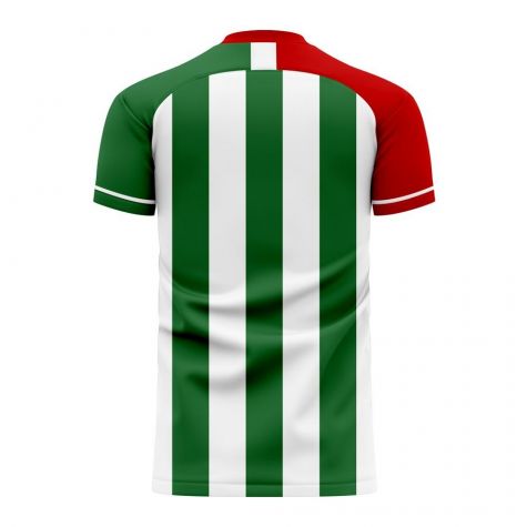 Bursaspor 2020-2021 Home Concept Football Kit (Airo)