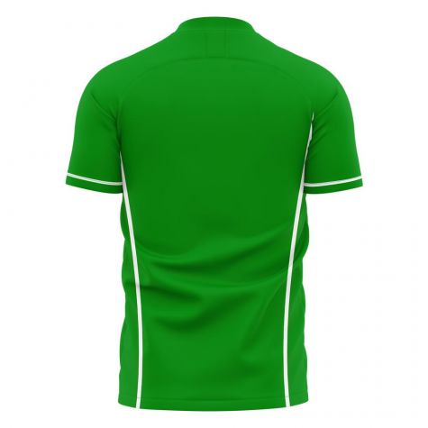 Chapecoense 2024-2025 Home Concept Football Kit (Libero)