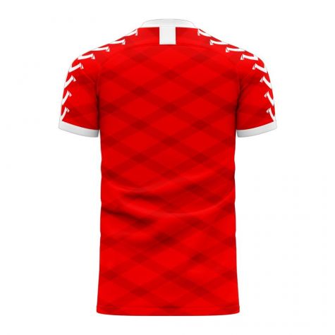 Denmark 2024-2025 Home Concept Football Kit (Viper) (Your Name)