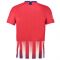 Atletico Madrid 2018-19 Home Shirt ((Excellent) S)