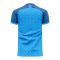 Slovan Bratislava 2020-2021 Home Concept Football Kit (Libero) - Adult Long Sleeve
