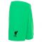 Liverpool 2021-2022 Goalkeeper Shorts (Green)