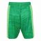 Arsenal 2021-2022 Home Goalkeeper Shorts (Solar Lime)