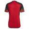 2022-2023 Belgium Home Shirt (Witsel 6)