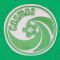 New York Cosmos Pele Green Retro Shirt