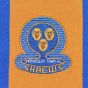 Shrewsbury Town 1980-1981 Retro Football Shirt