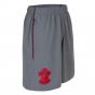 Southampton 2017-2018 Training Shorts (Glacier Grey)