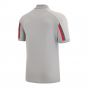 2022-2023 Wales Travel Polo Shirt (Grey)