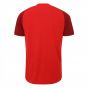 2018-2019 Liverpool Elite Training Jersey (Red)