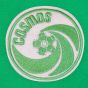 New York Cosmos Pele Green Retro Shirt