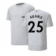 2022-2023 Man City Casuals Tee (Light Grey) (AKANJI 25)