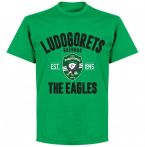 Ludogorets Established T-shirt - Green