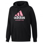 2022-2023 Juventus DNA Graphic Hoody (Black)