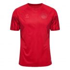 2022-2023 Denmark Home Jersey