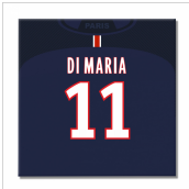 PSG 16-17 Canvas Print (Di Maria 11)