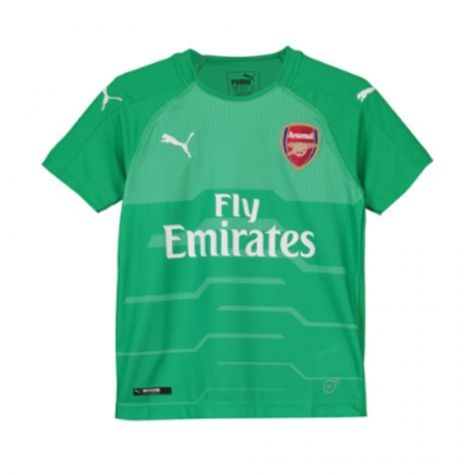 arsenal goalkeeper kit green