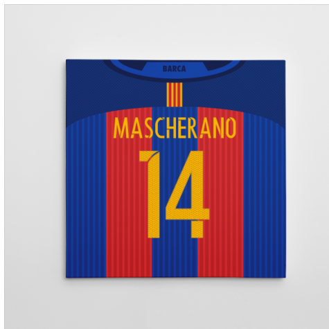 Barcelona 16-17 Canvas Print (Mascherano 14)