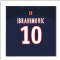 PSG 16-17 Canvas Print (Ibrahimovic 10)