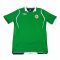 Northern Ireland 2008-09 Home Shirt ((Excellent) M) ((Excellent) M)