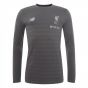 Liverpool 2018-2019 Long Sleeve Shirt (Grey)