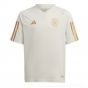 2022-2023 Germany Training Jersey (Alumina) - Kids
